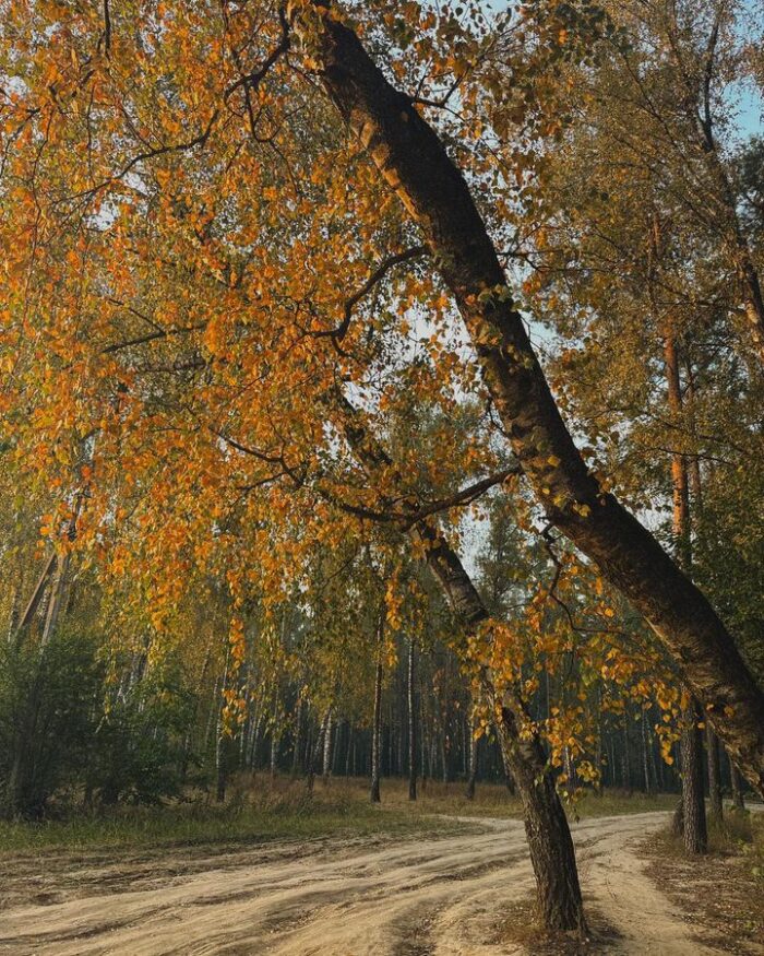 Доброго дня, громадо!