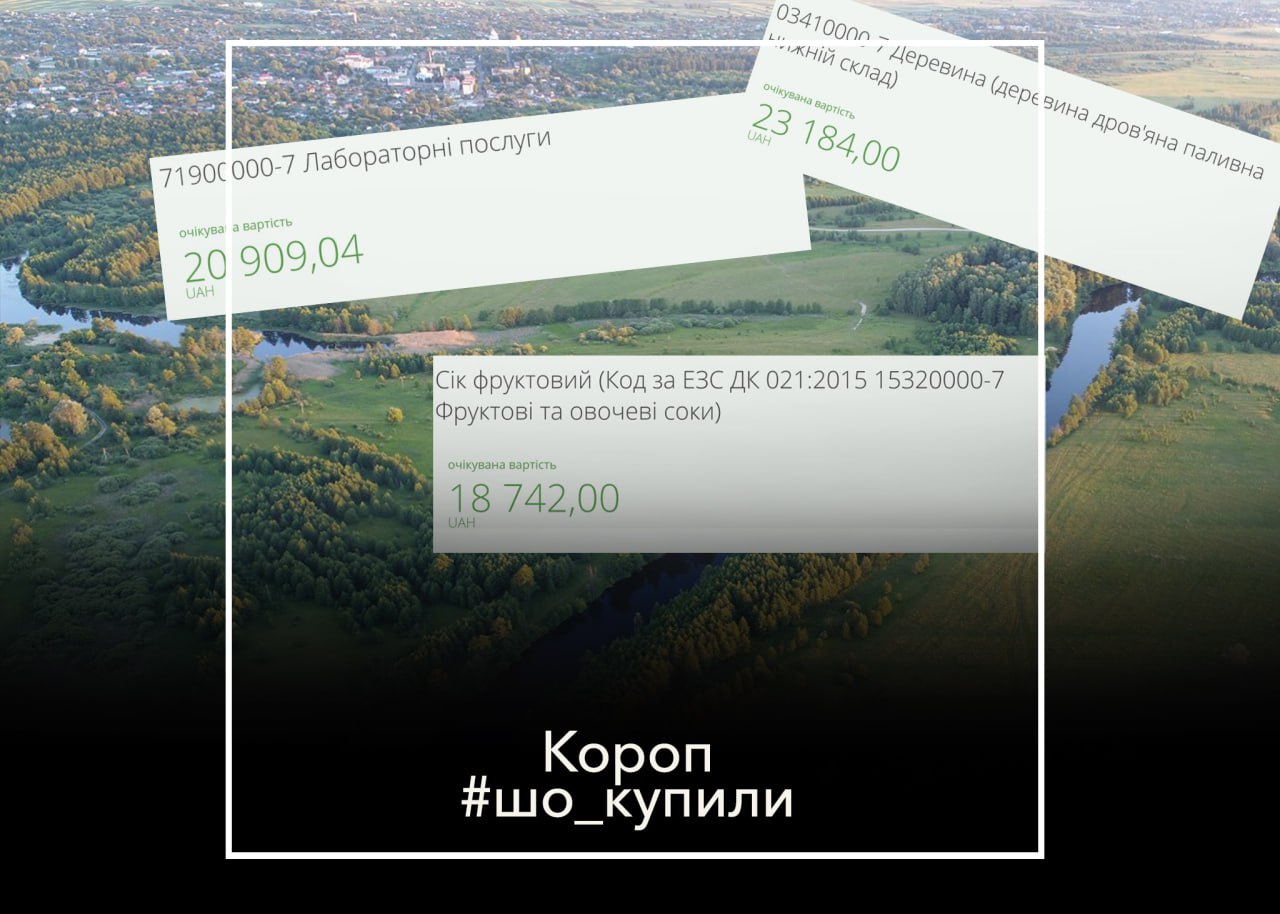 #шо_купили , Флагшток, олива, деревина. Що замовляли в жовтні 2024-го року на кошти платників податків в Коропі?