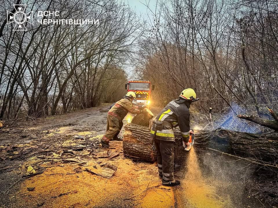 Рятувальники прибрали дерево, що перекрило дорогу