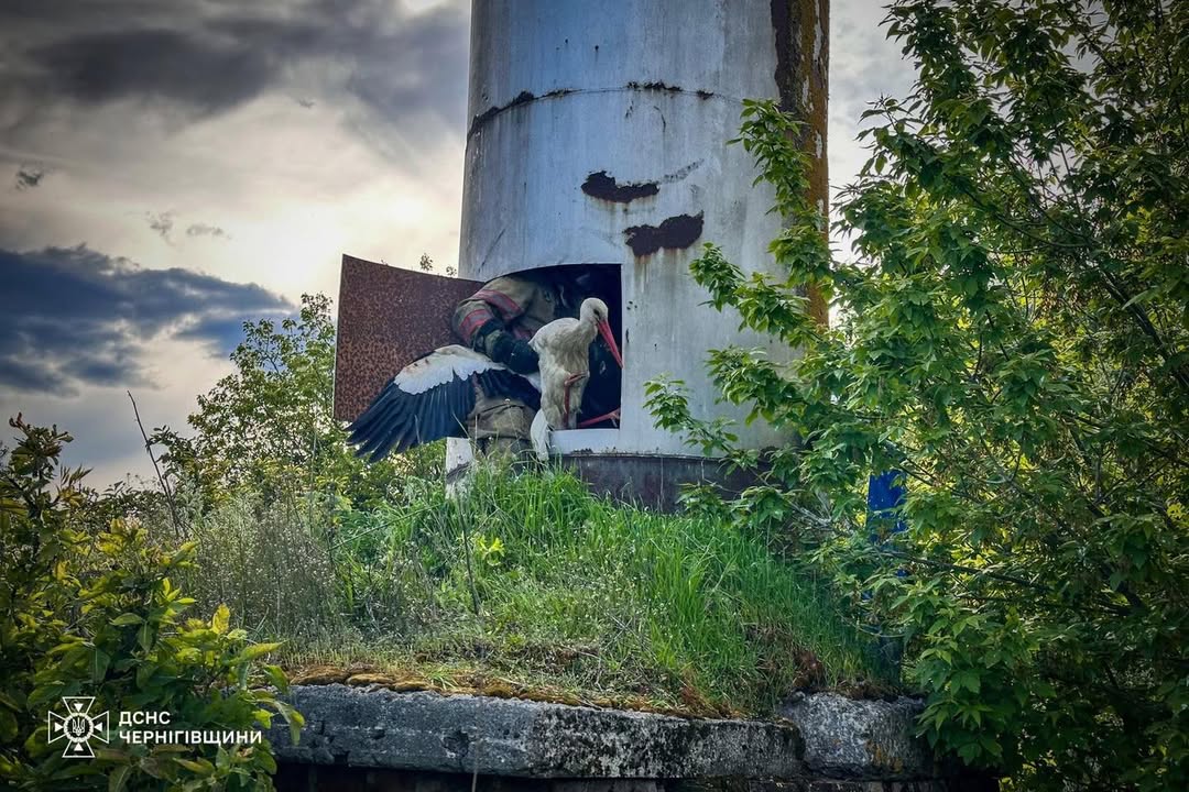 В Атюші рятувальники визволили з пастки двох лелек