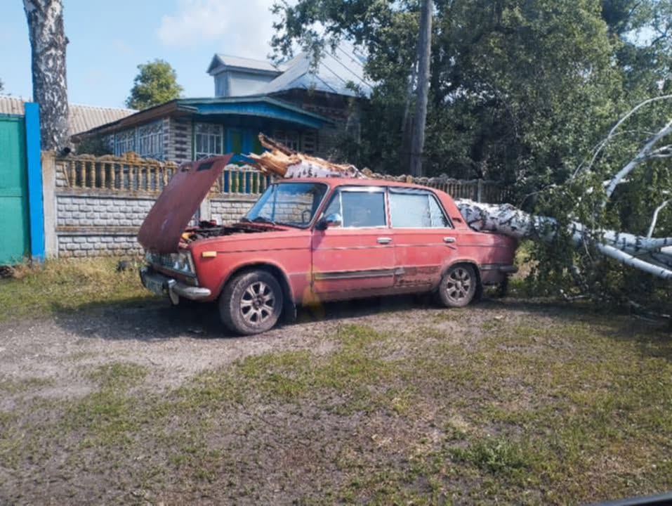 Негода на Коропщині: зривало асфальт, дахи, валило дерева й обривало лінії електропередач