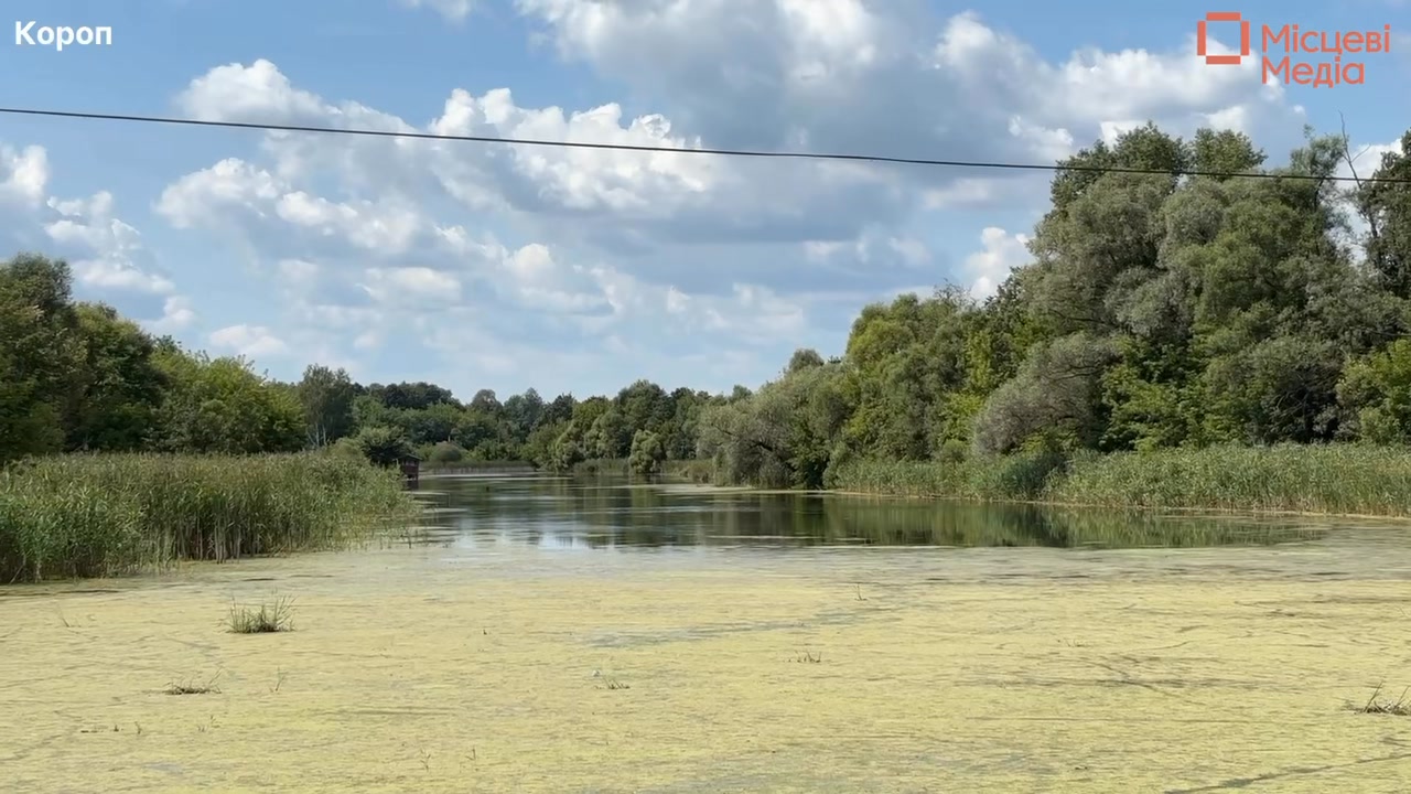 Літо на Плавучому мосту в Коропі — це маленька історія про спокій і красу. 🌿