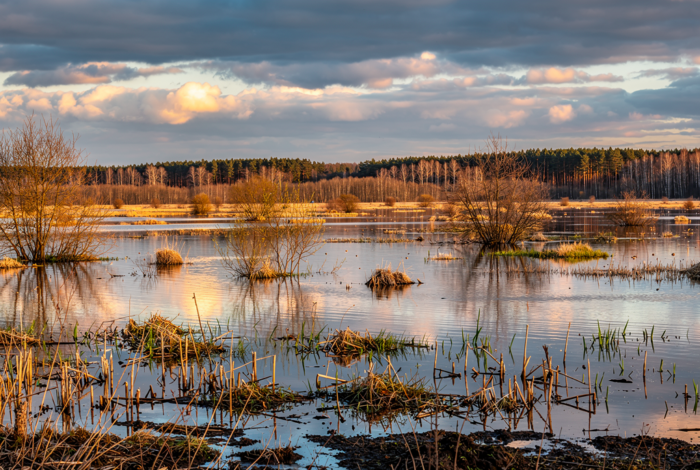 Погода у Коропі на 03.04.2026