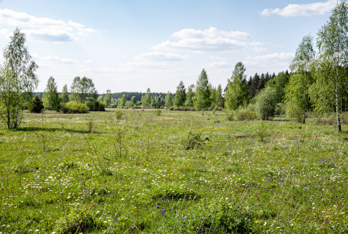 Погода у Коропі на 08.04.2026