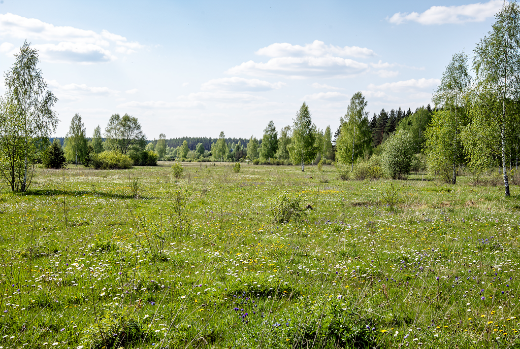 Погода у Коропі на 08.04.2026