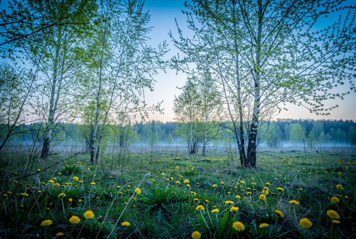 Погода у Коропі на 24.04.2026