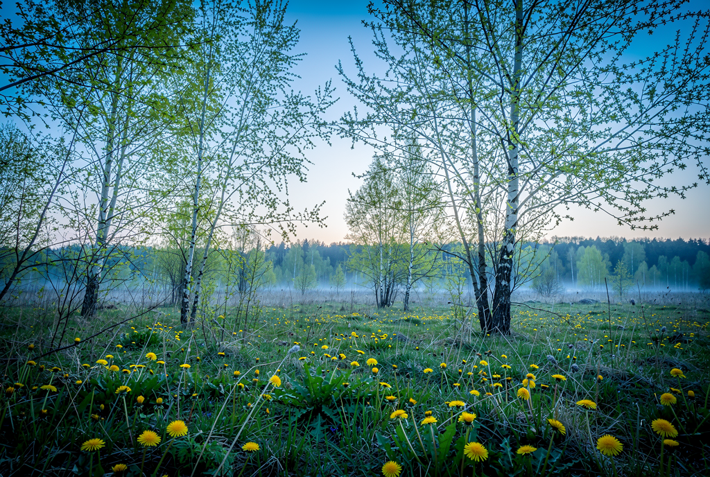 Погода у Коропі на 24.04.2026