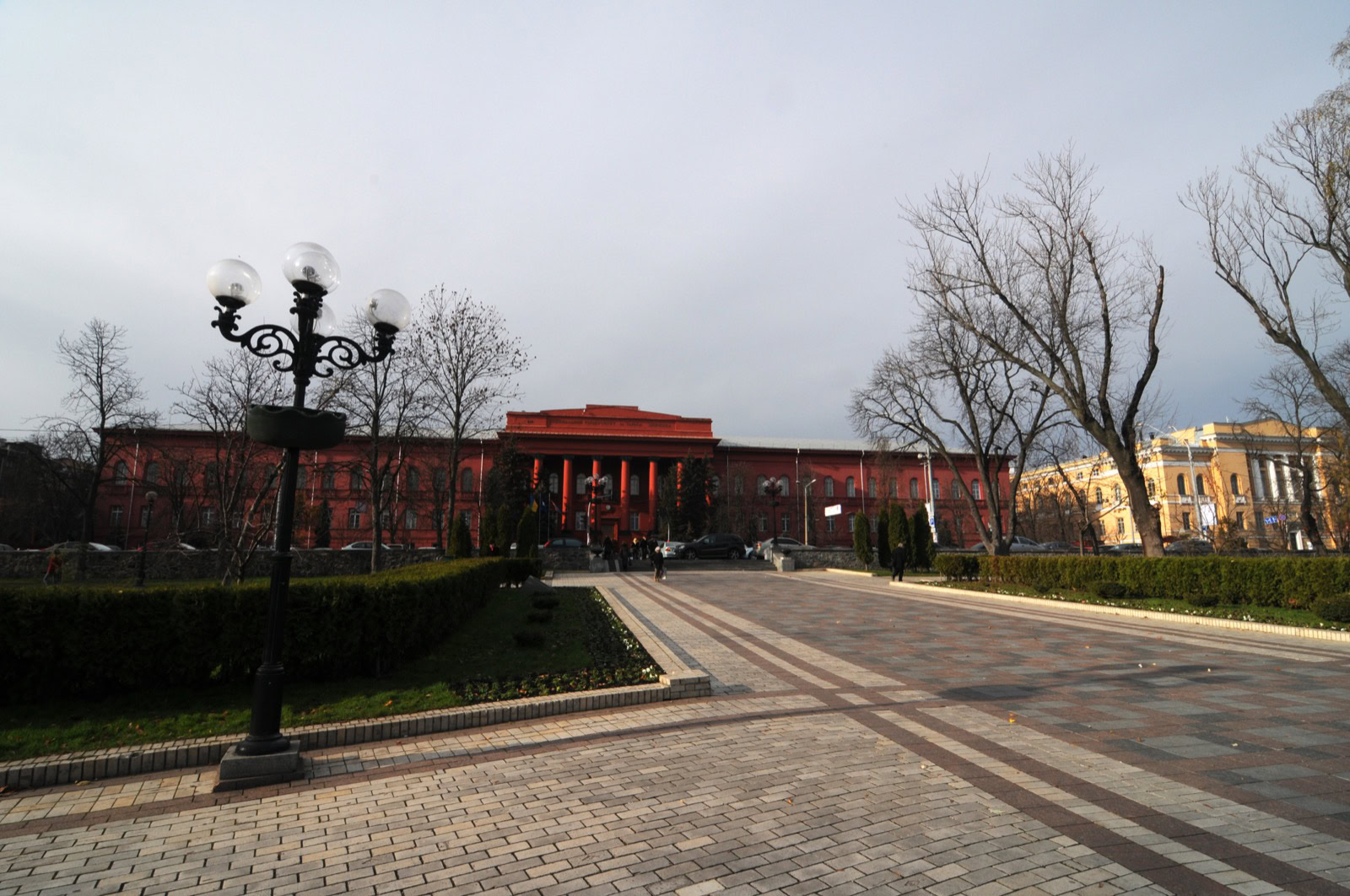 Скляні трубки замість мікроскопа: як уродженець Краснопілля пояснив, чому білі кровʼяні тільця тримаються стінок судин
