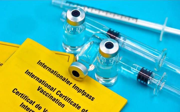 У Коропі проведуть безкоштовну вакцинацію котів та собак